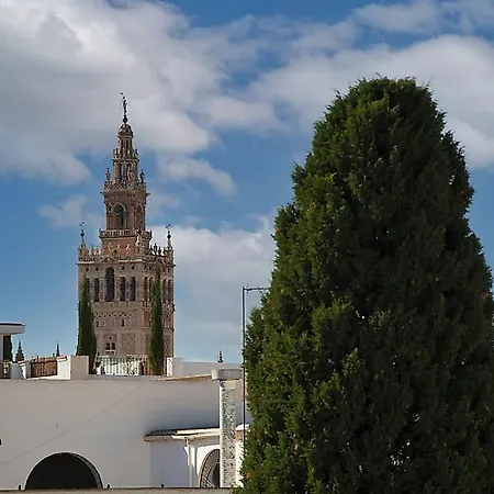 Increible Atico Con Vistas A La Giralda Lejlighed *